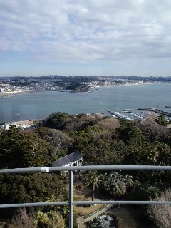 江ノ島展望台から鎌倉方面を望む