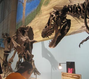 ティランノサウルスvsトリケラトプス